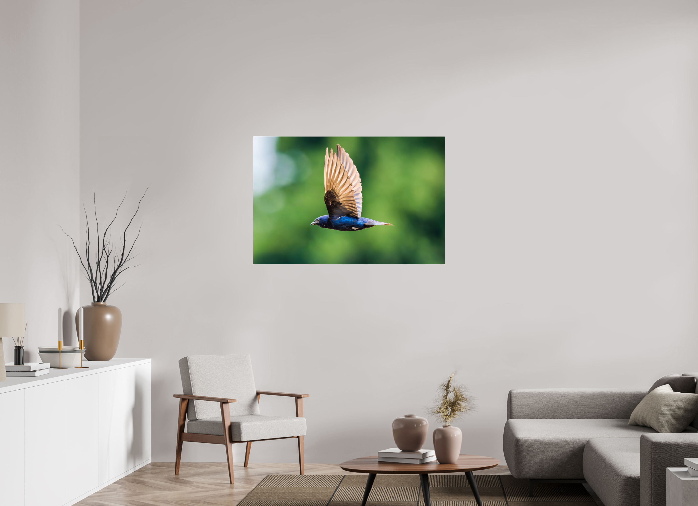 45 x 30″, Acrylic Glass Rounded Corners Purple Martin in Flight