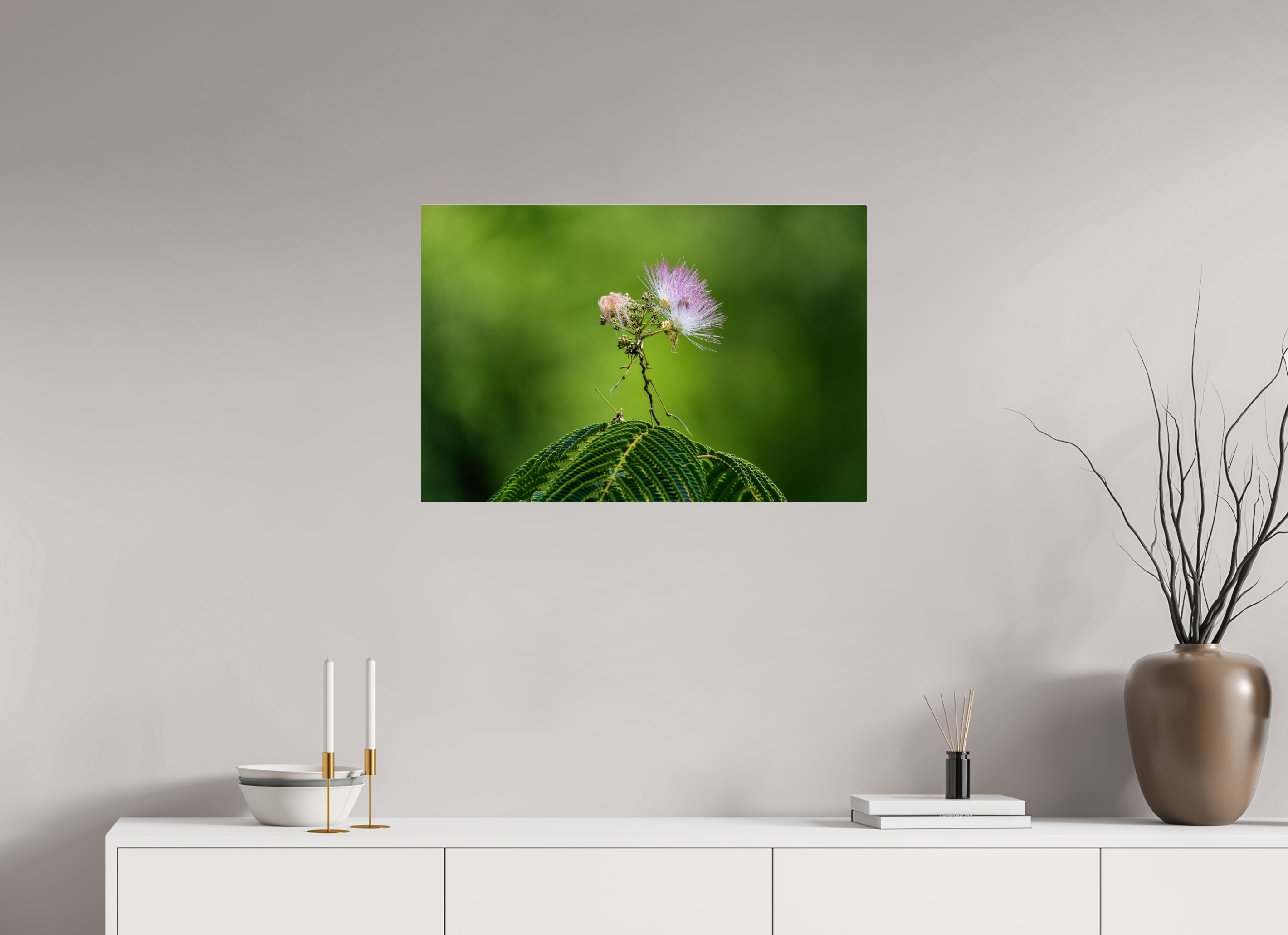 30 x 20″, Acrylic Glass Rounded Mimosa Blossom Against Green Bokeh