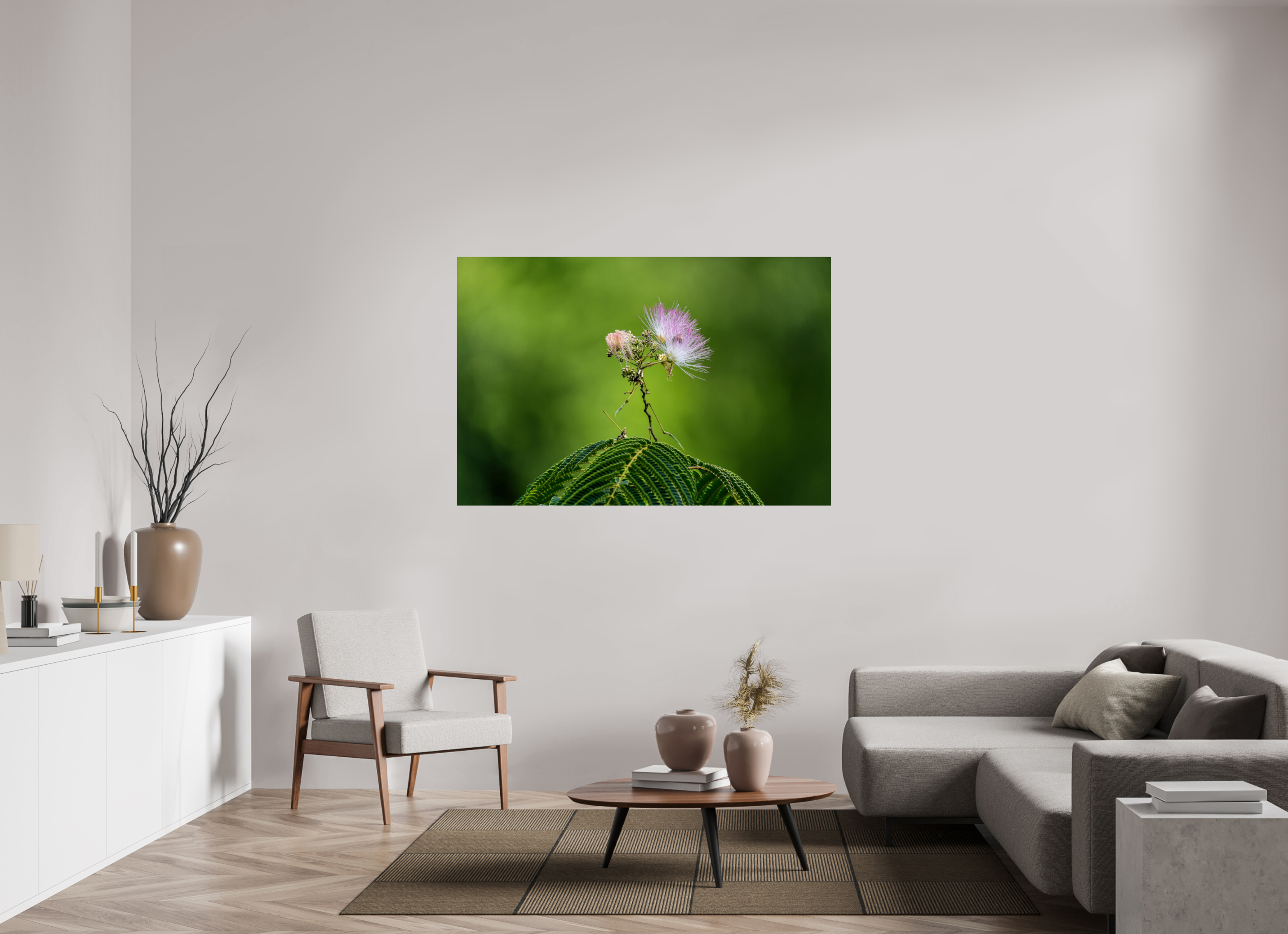 60 x 40″, Acrylic Glass Rounded Mimosa Blossom Against Green Bokeh
