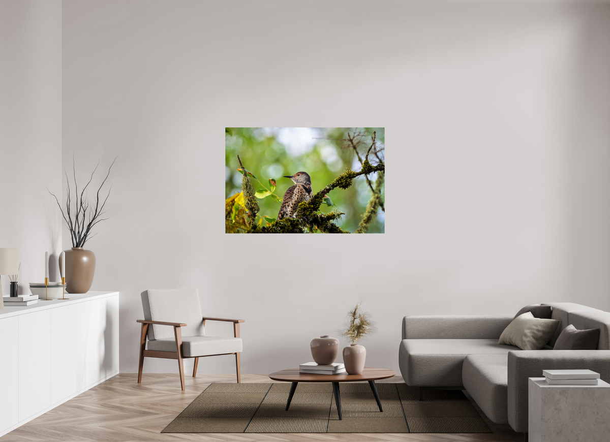 54 x 36″, ChromeLuxe HD Metal Print Rounded Conrners Northern Flicker in the Mossy Canopy