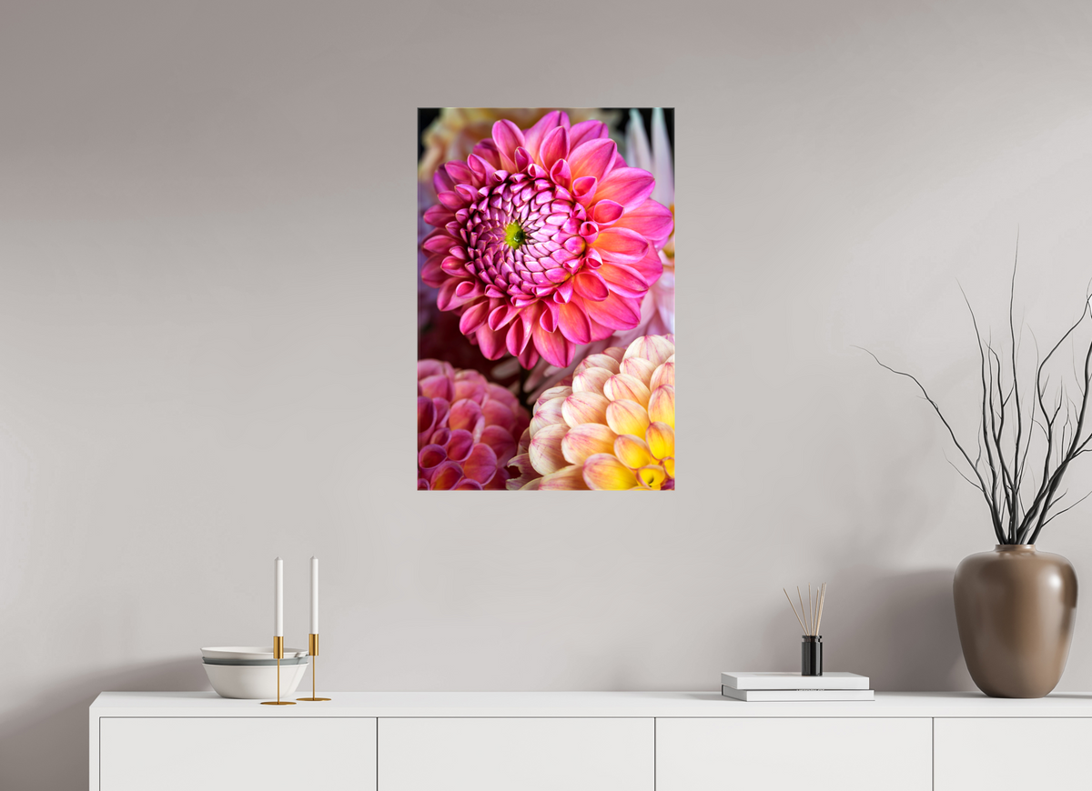 20 x 30″, Glossy Canvas Pink Dahlia Unfurling