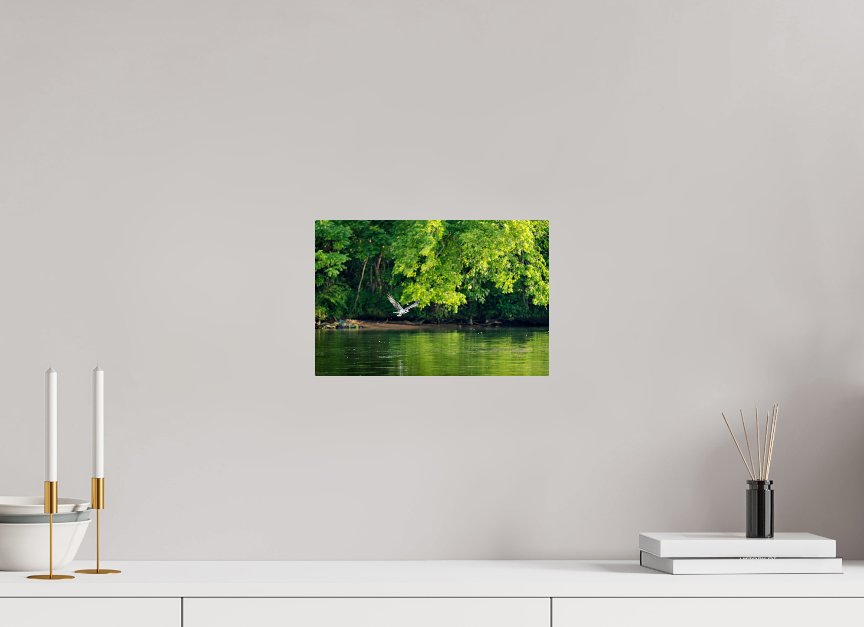 12 x 8″, ChromeLuxe HD Metal Print Rounded Conrners Osprey Flying Low Over the River With a Fish