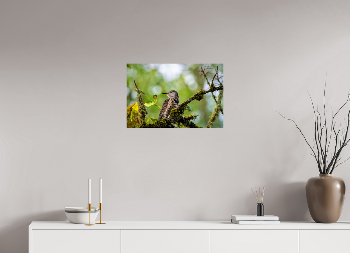 24 x 16″, ChromeLuxe HD Metal Print Rounded Conrners Northern Flicker in the Mossy Canopy