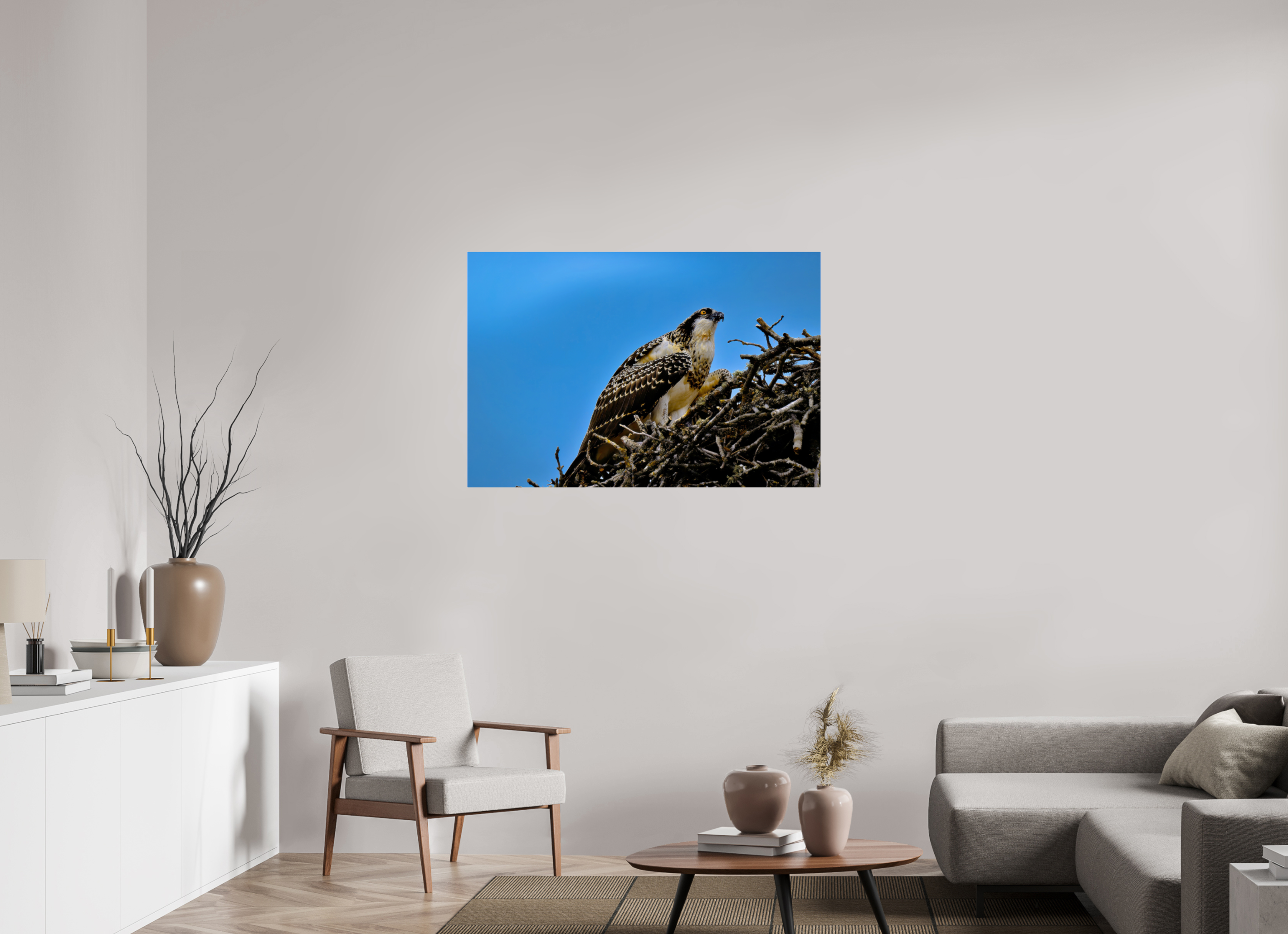 45 x 30″, Acrylic Glass Rounded Corners Young Osprey at the Nest