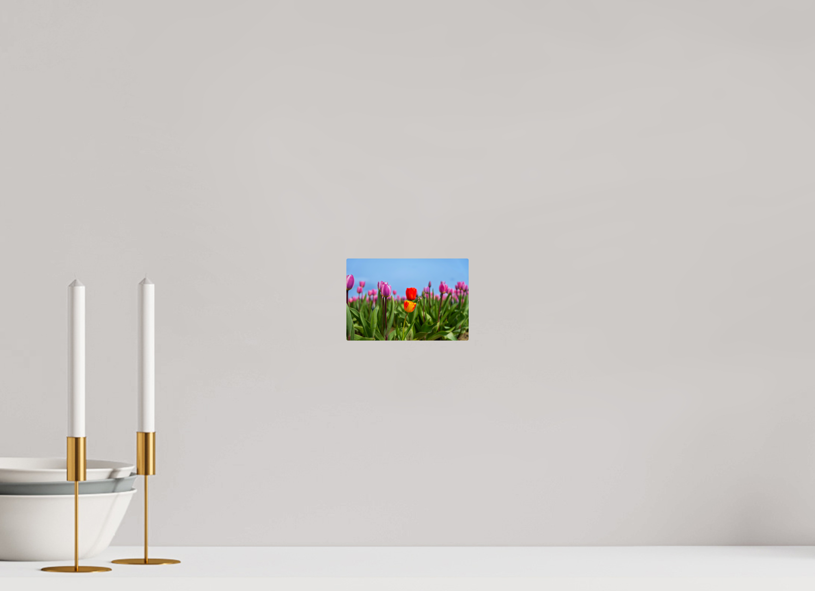 6 x 4″, ChromeLuxe HD Metal Print Rounded Conrners Red and Yellow Tulips Among a Purple Field