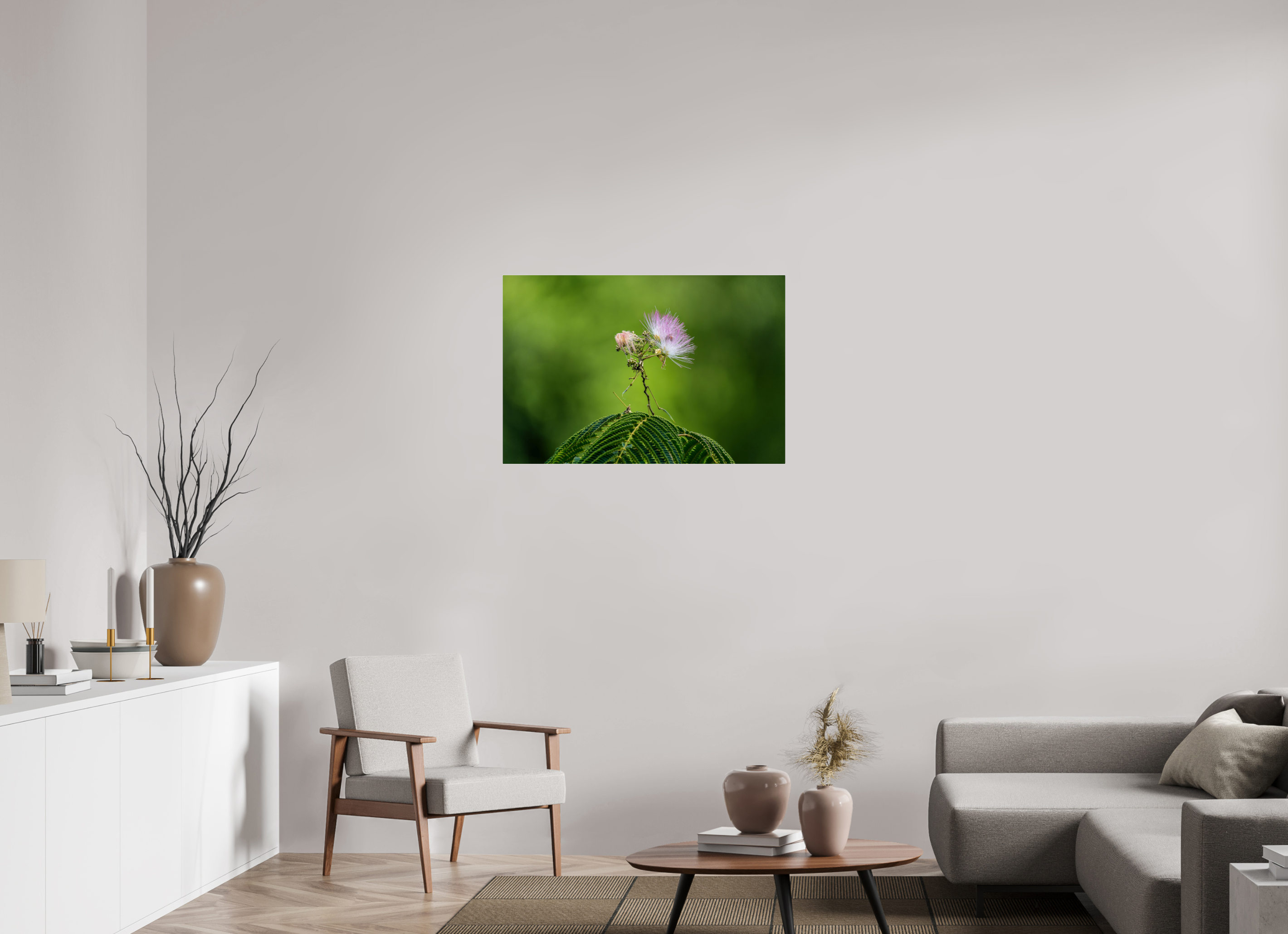 36 x 24″, Acrylic Glass Rounded Mimosa Blossom Against Green Bokeh