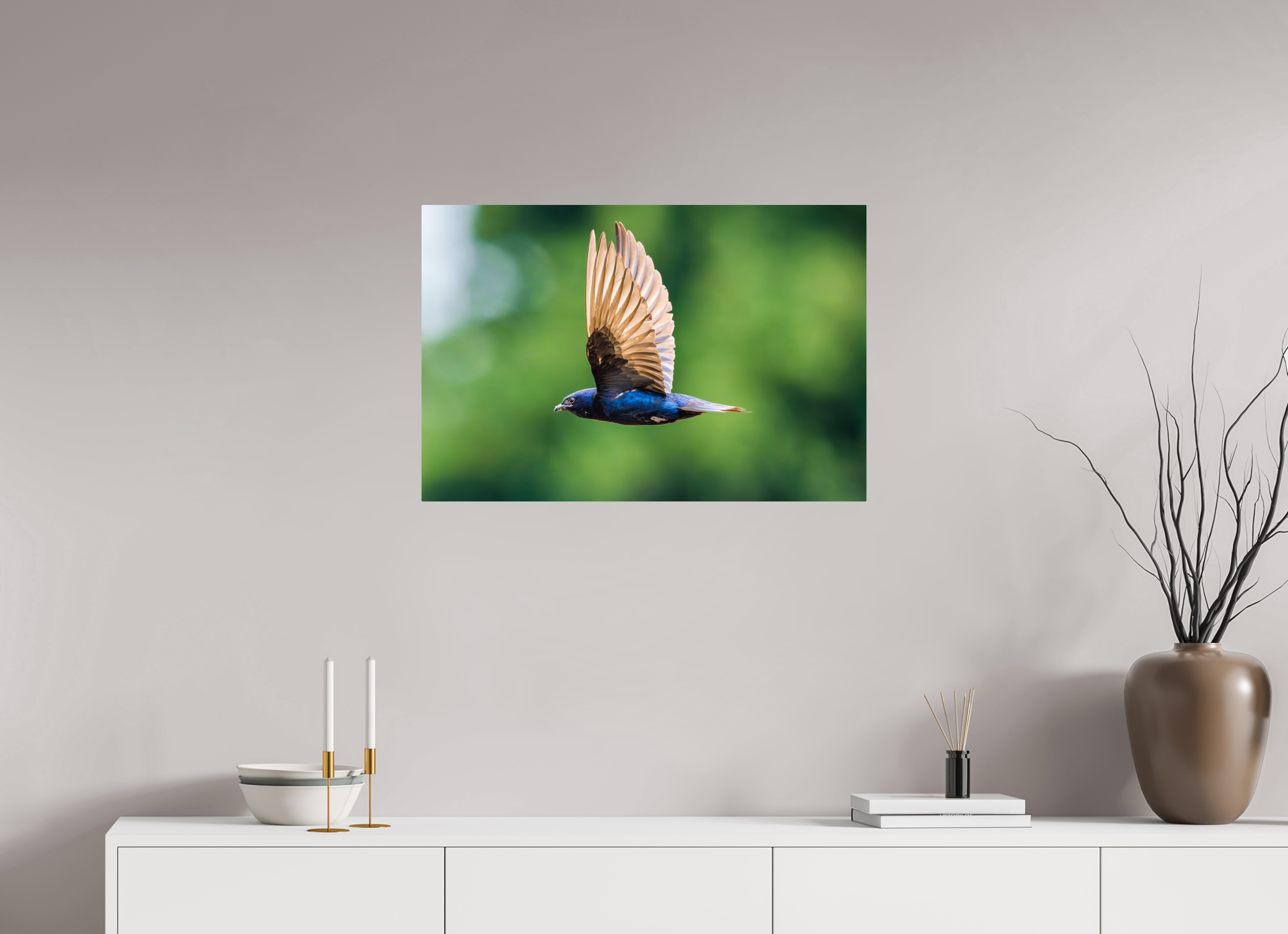 30 x 20″, ChromeLuxe HD Metal Print Rounded Conrners Purple Martin in Flight