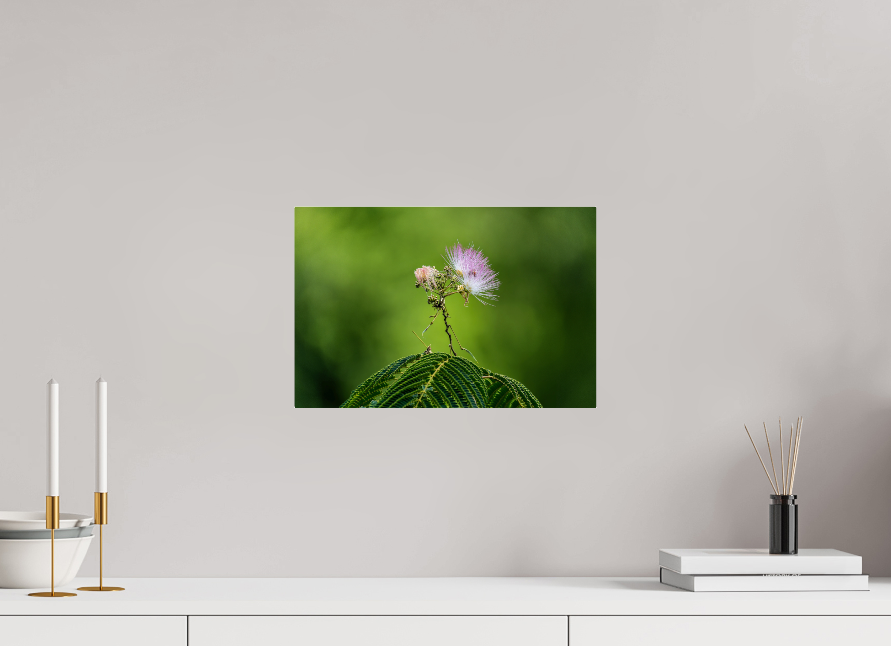 15 x 10″, Acrylic Glass Rounded Mimosa Blossom Against Green Bokeh