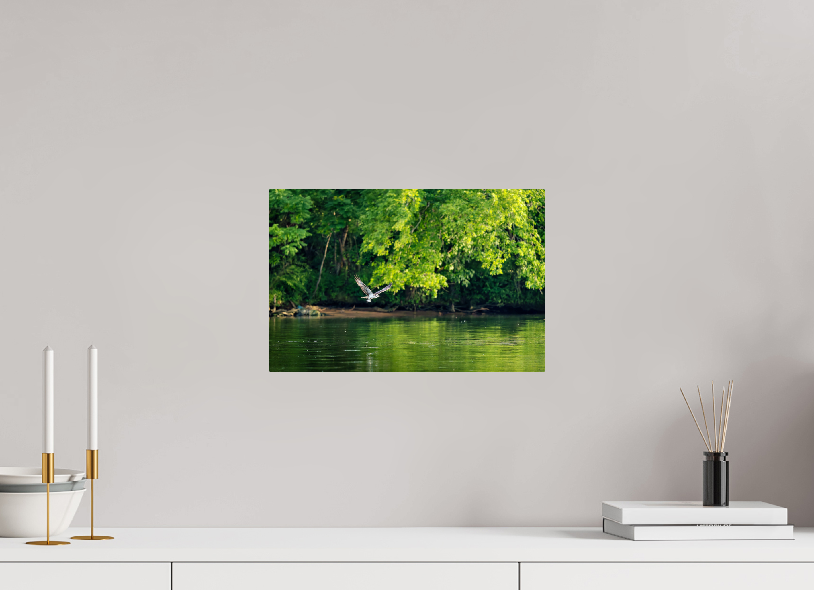 15 x 10″, ChromeLuxe HD Metal Print Rounded Conrners Osprey Flying Low Over the River With a Fish