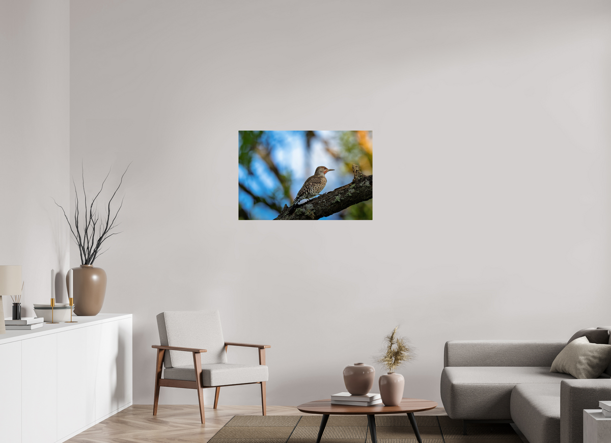 36 x 24″, ChromeLuxe HD Metal Print Rounded Conrners Northern Flicker on a Lichen-Draped Limb
