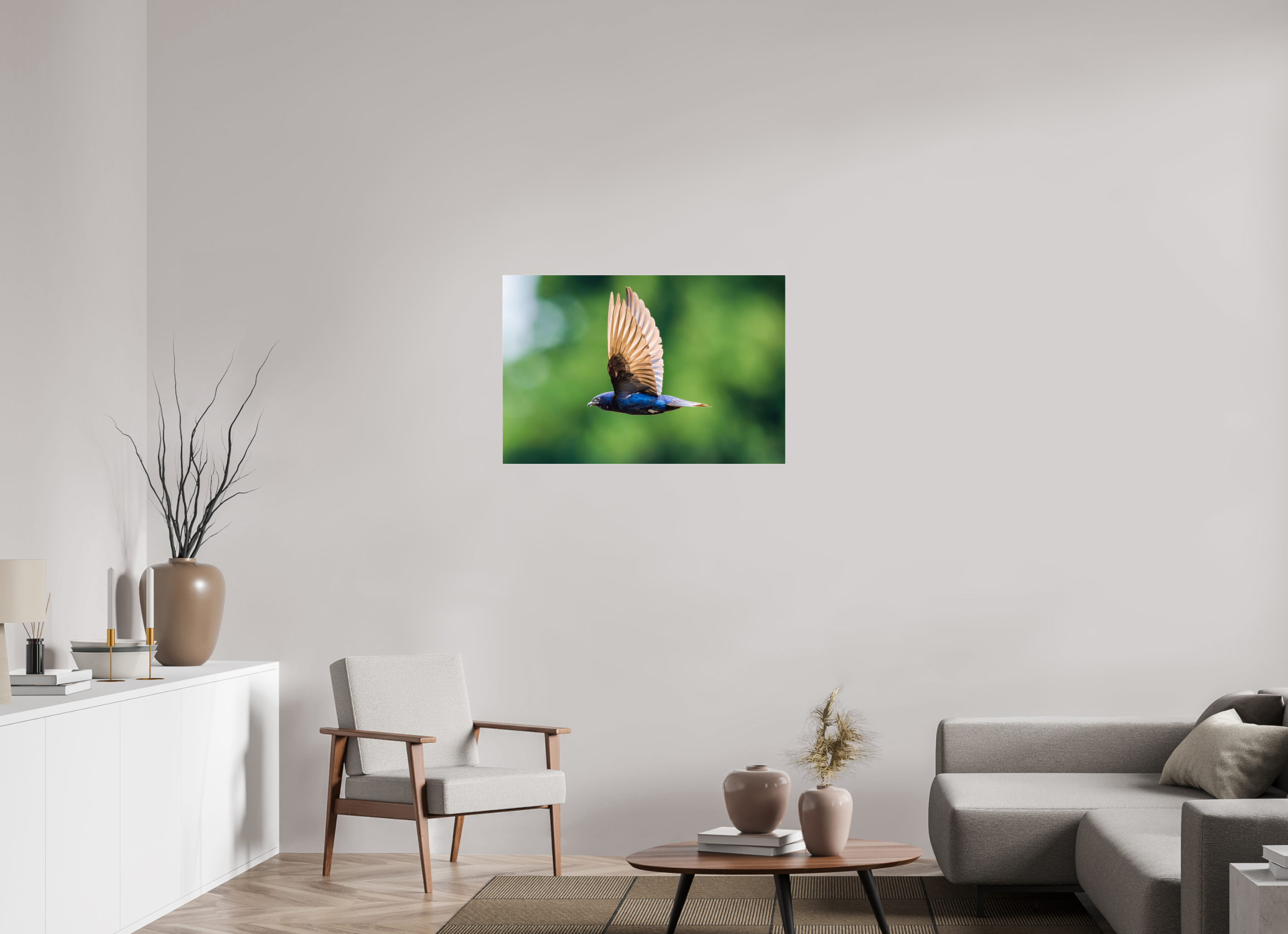 36 x 24″, Acrylic Glass Rounded Corners Purple Martin in Flight