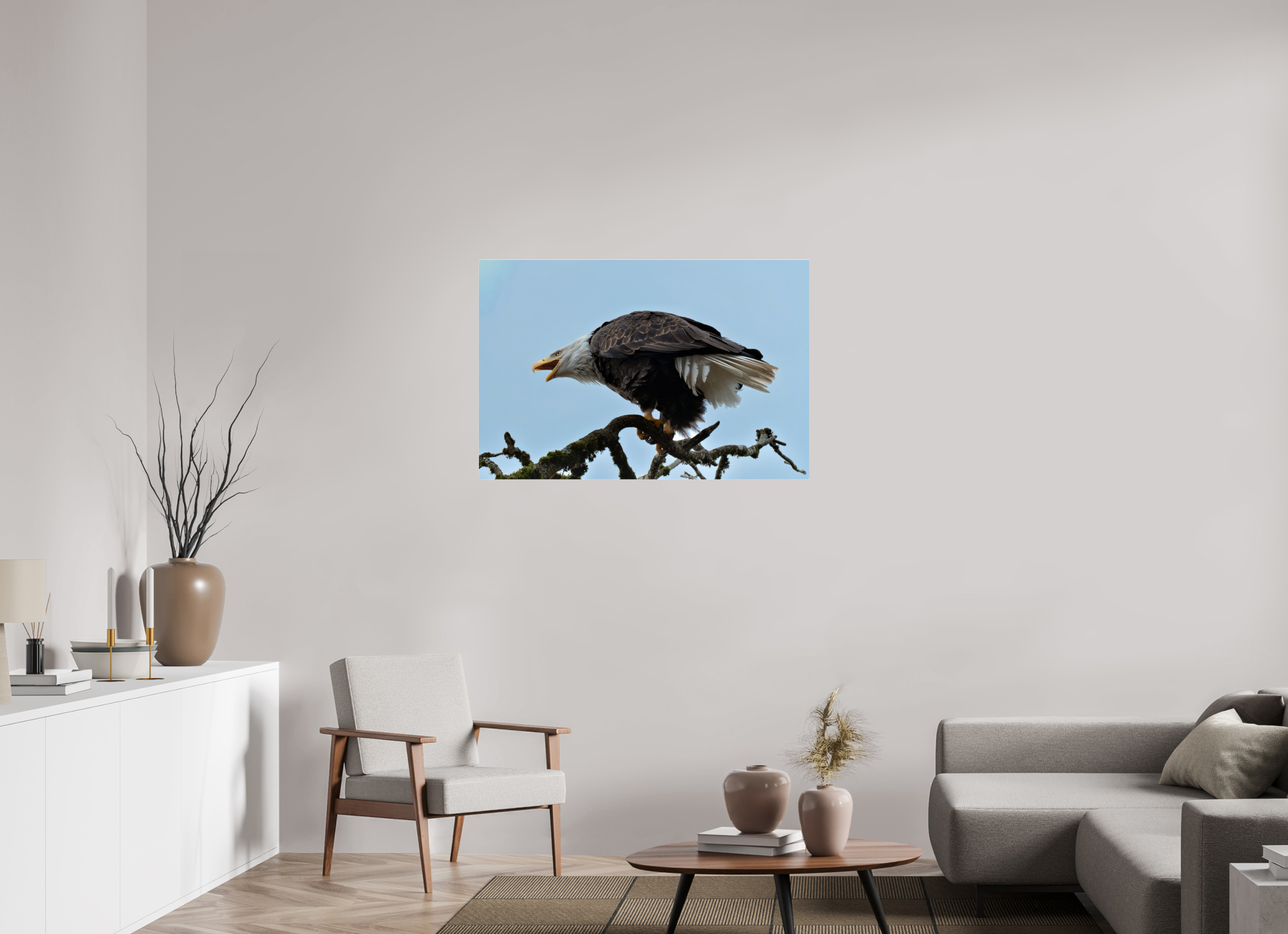 42 x 28″, Acrylic Glass Rounded Corners Bald Eagle Calling from the Snag