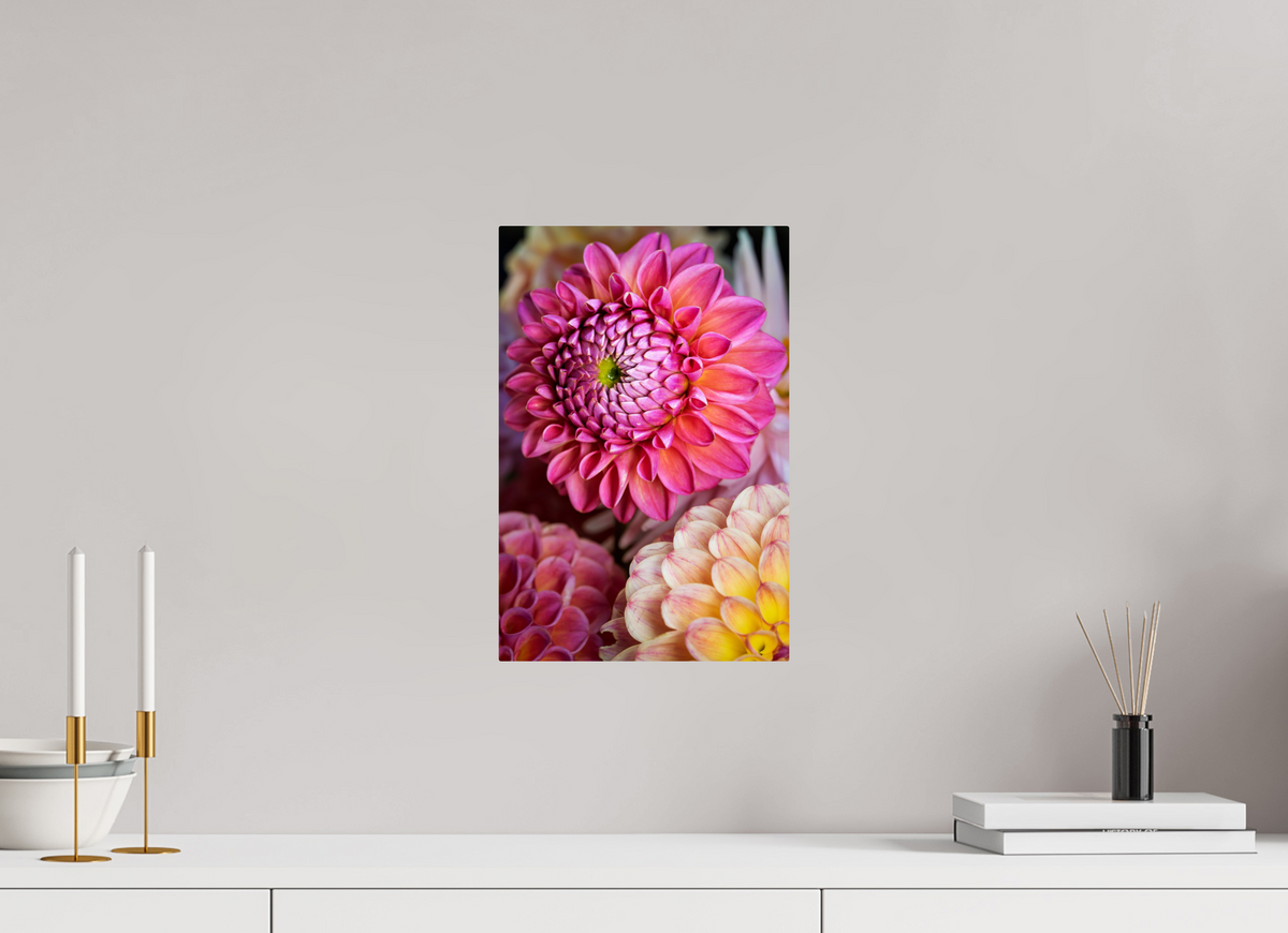 10 x 15″, ChromeLuxe HD Metal Print Rounded Conrners Pink Dahlia Unfurling