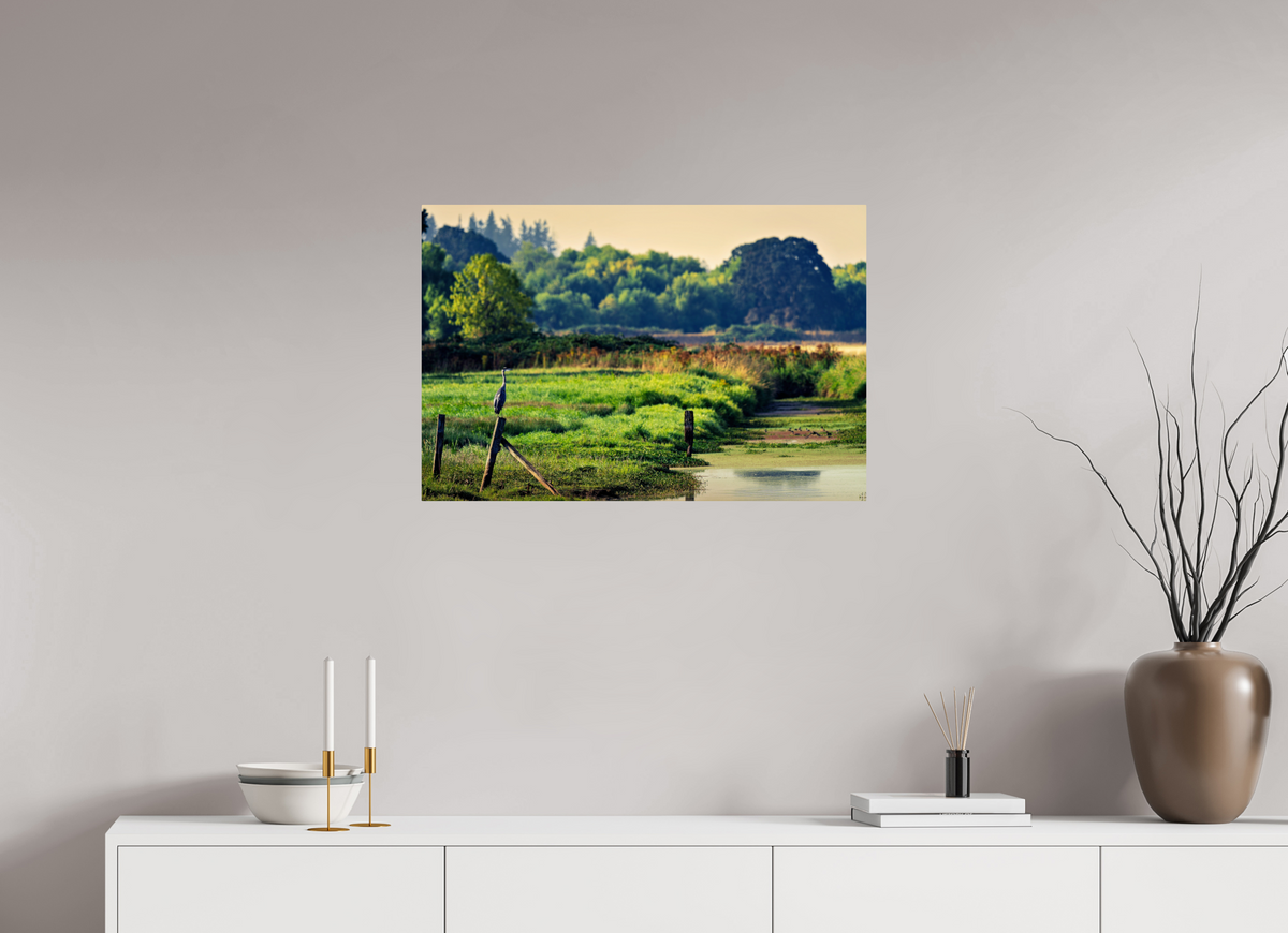 30 x 20″, ChromeLuxe HD Metal Print Rounded Conrners Great Blue Heron Watching Over the Wetland