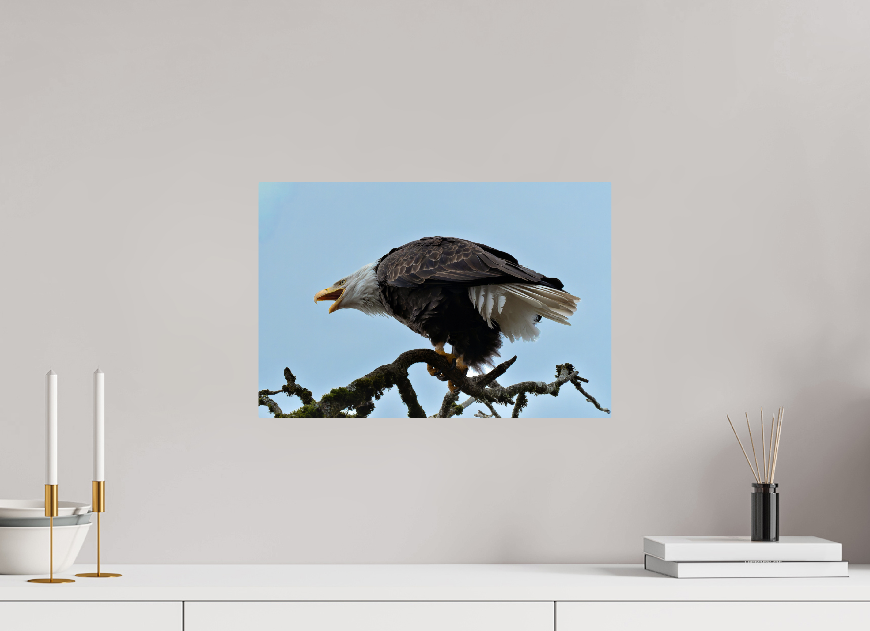 18 x 12″, ChromeLuxe HD Metal Print Rounded Conrners Bald Eagle Calling from the Snag