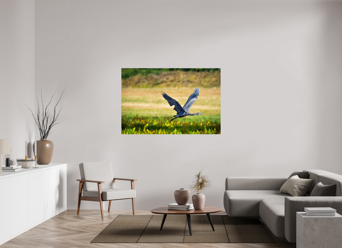 60 x 40″, Acrylic Glass Rounded Corners Great Blue Heron Rising Over the Wetland