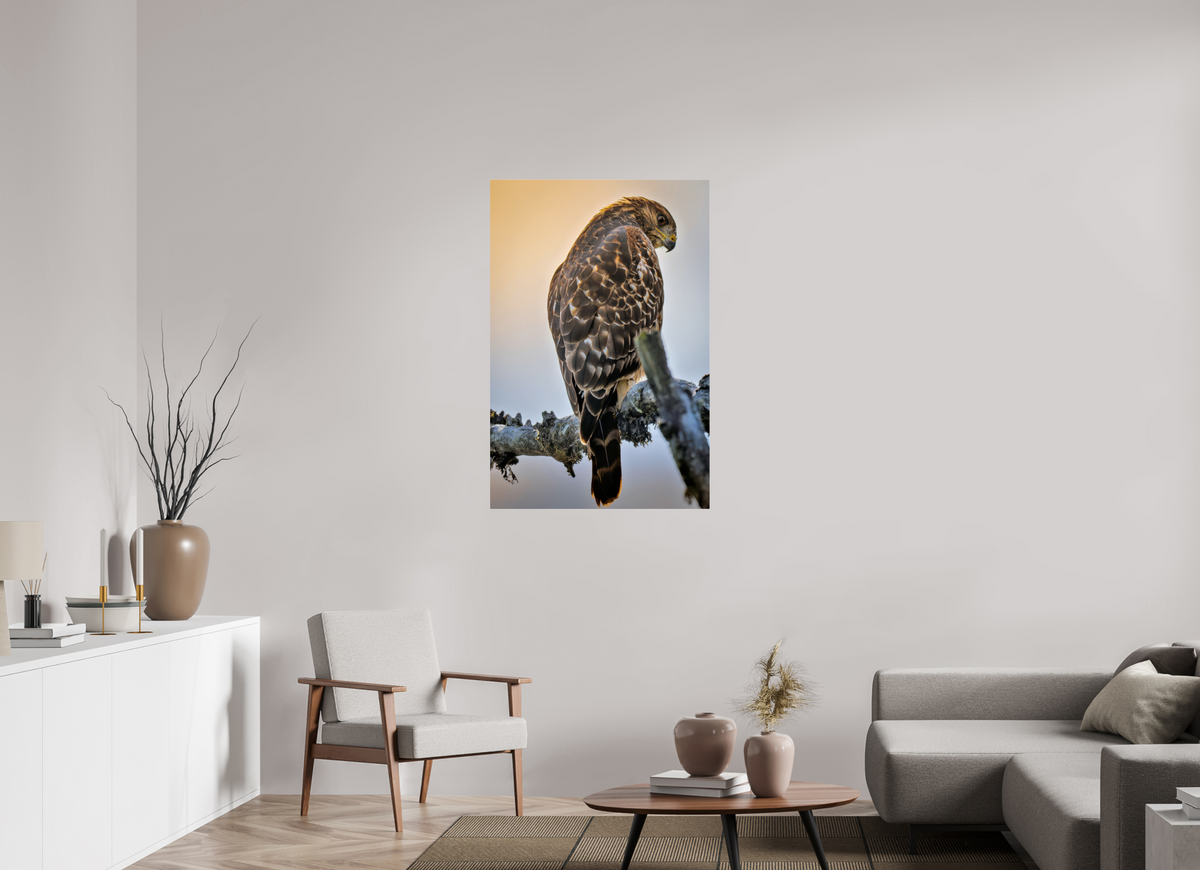 30 x 45″, Acrylic Glass Rounded Corners Backlit Hawk in the Last Light