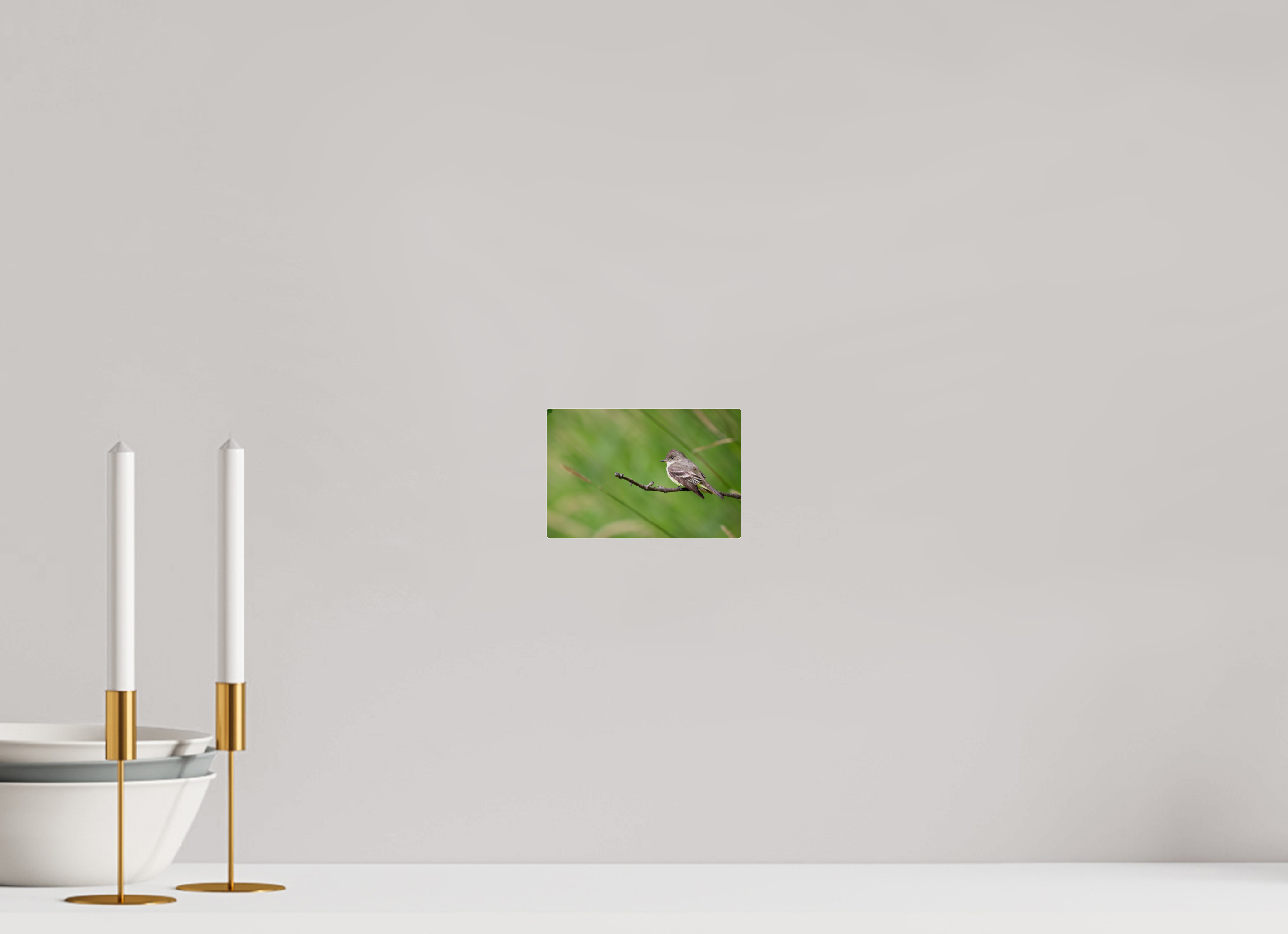 6 x 4″, Acrylic Glass Rounded Corners Western Wood-Pewee on a Bare Twig
