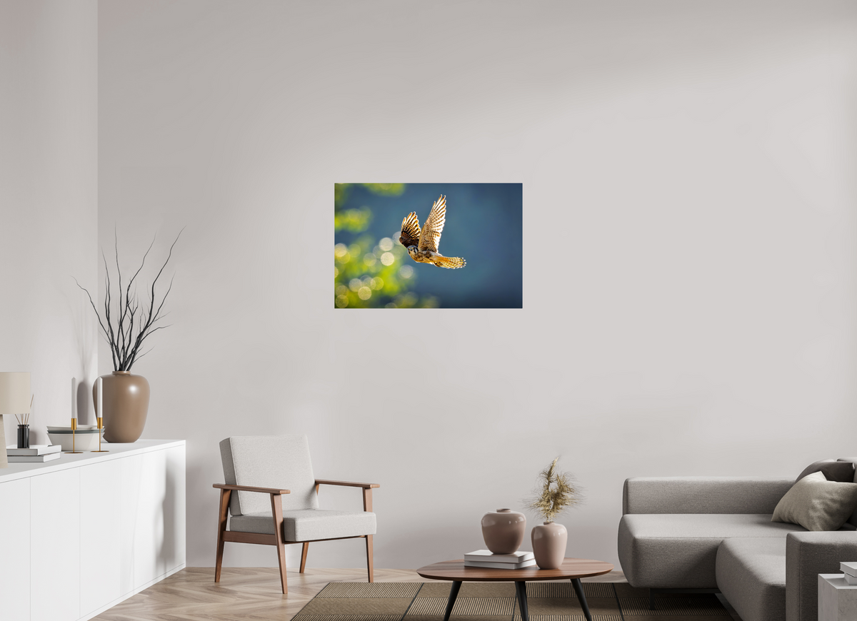 36 x 24″, ChromeLuxe HD Metal Print Rounded Conrners American Kestrel on the Wing