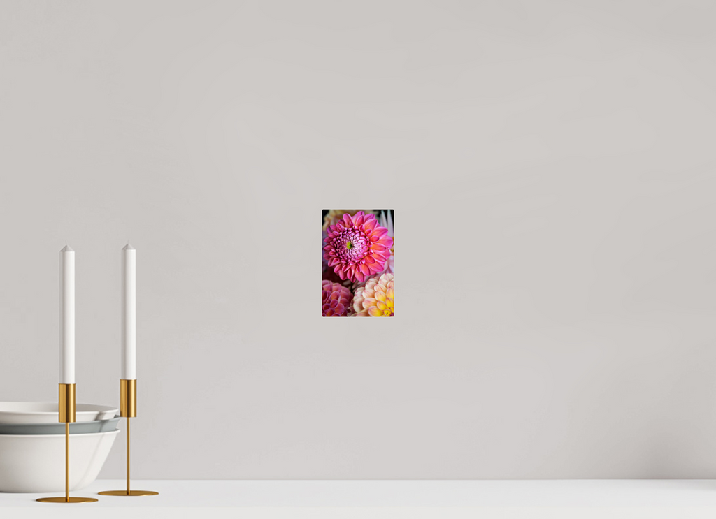 4 x 6″, Acrylic Glass Rounded Corners Pink Dahlia Unfurling