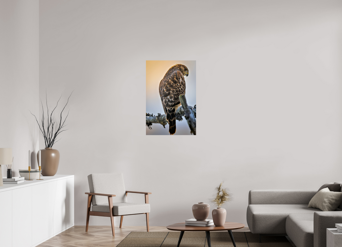 24 x 36″, ChromeLuxe HD Metal Print Rounded Conrners Backlit Hawk in the Last Light