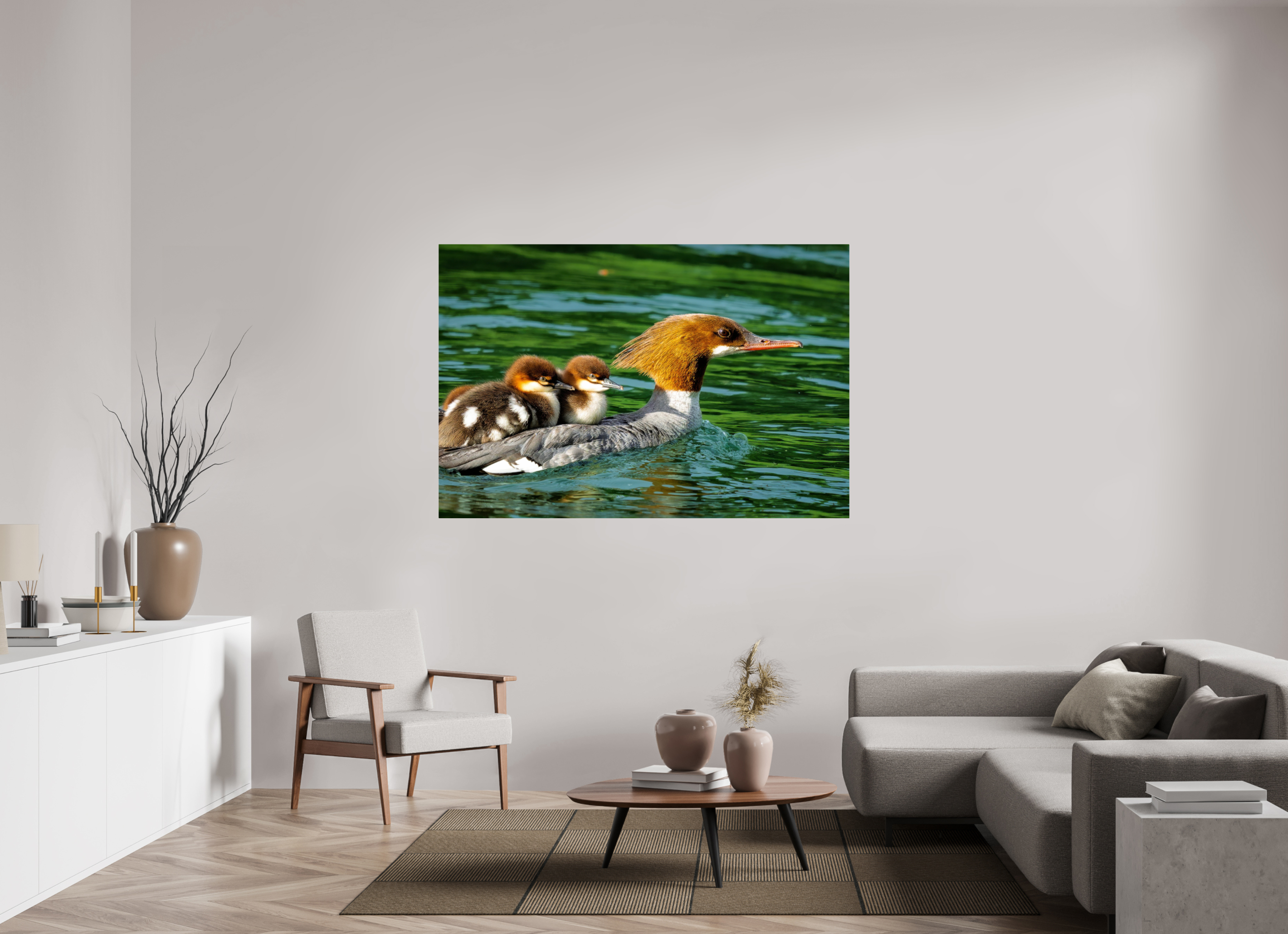 66 x 44″, ChromeLuxe HD Metal Print Acrylic Print - Common Merganser Hen With Ducklings on Her Back