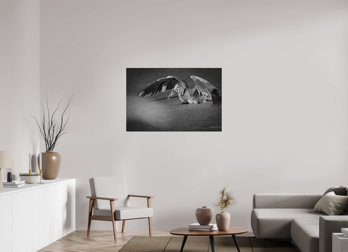 45 x 30″, ChromeLuxe HD Metal Print Rounded Conrners Great Blue Heron's Frog Catch in Black and White