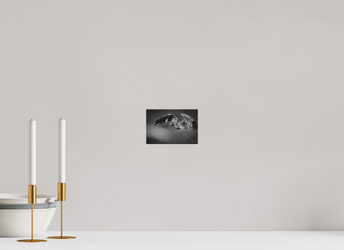 6 x 4″, Acrylic Glass Rounded Corners Great Blue Heron's Frog Catch in Black and White