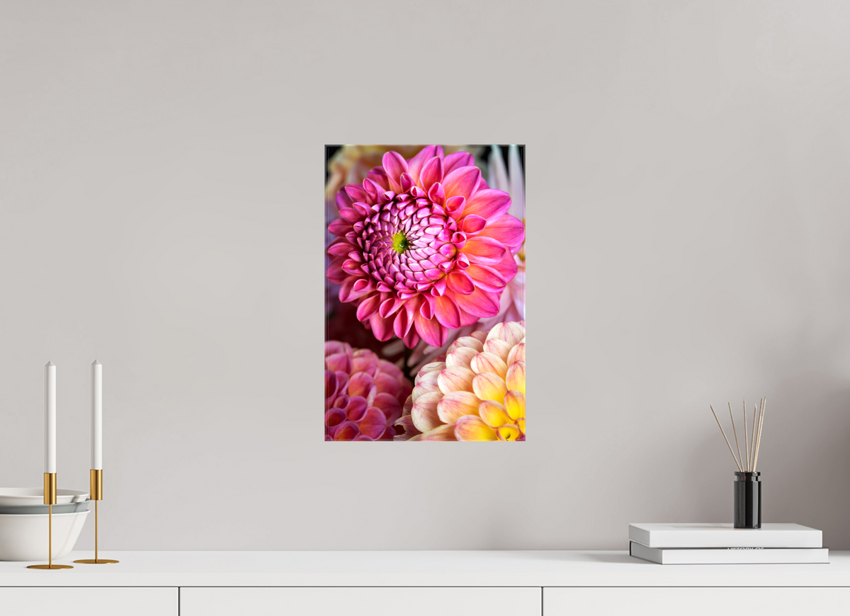 10 x 15″, Glossy Canvas Pink Dahlia Unfurling
