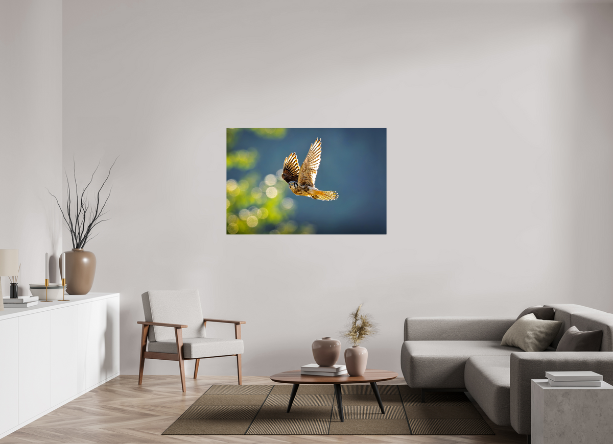 54 x 36″, ChromeLuxe HD Metal Print Rounded Conrners American Kestrel on the Wing
