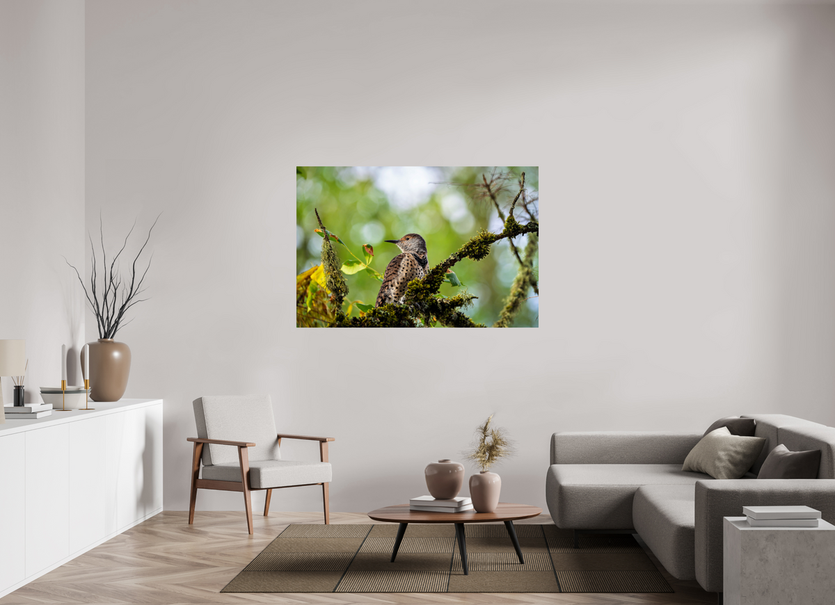 60 x 40″, ChromeLuxe HD Metal Print Rounded Conrners Northern Flicker in the Mossy Canopy