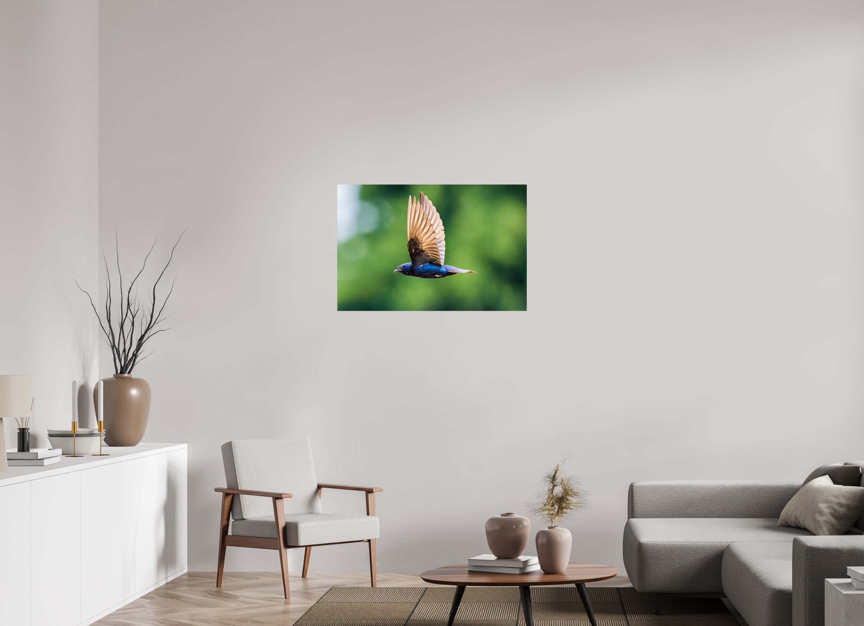 36 x 24″, ChromeLuxe HD Metal Print Rounded Conrners Purple Martin in Flight