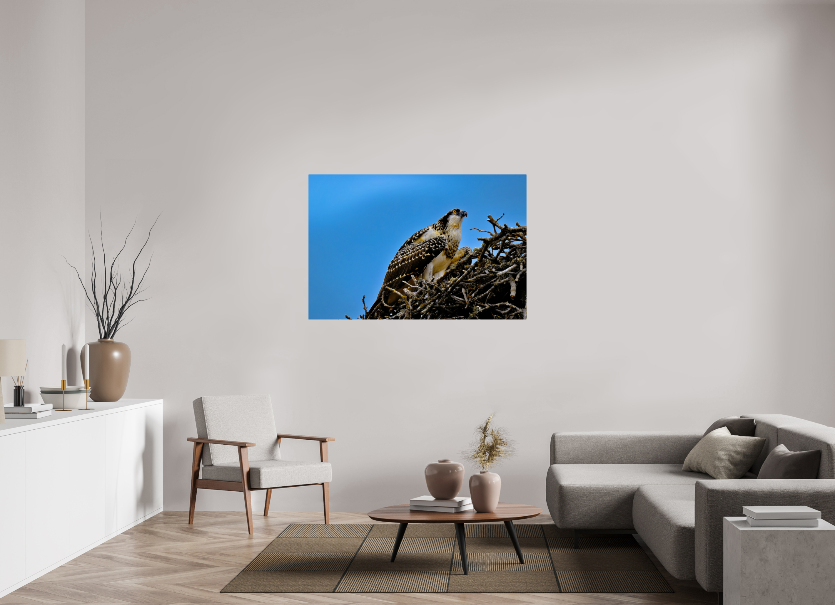54 x 36″, ChromeLuxe HD Metal Print Rounded Conrners Young Osprey at the Nest