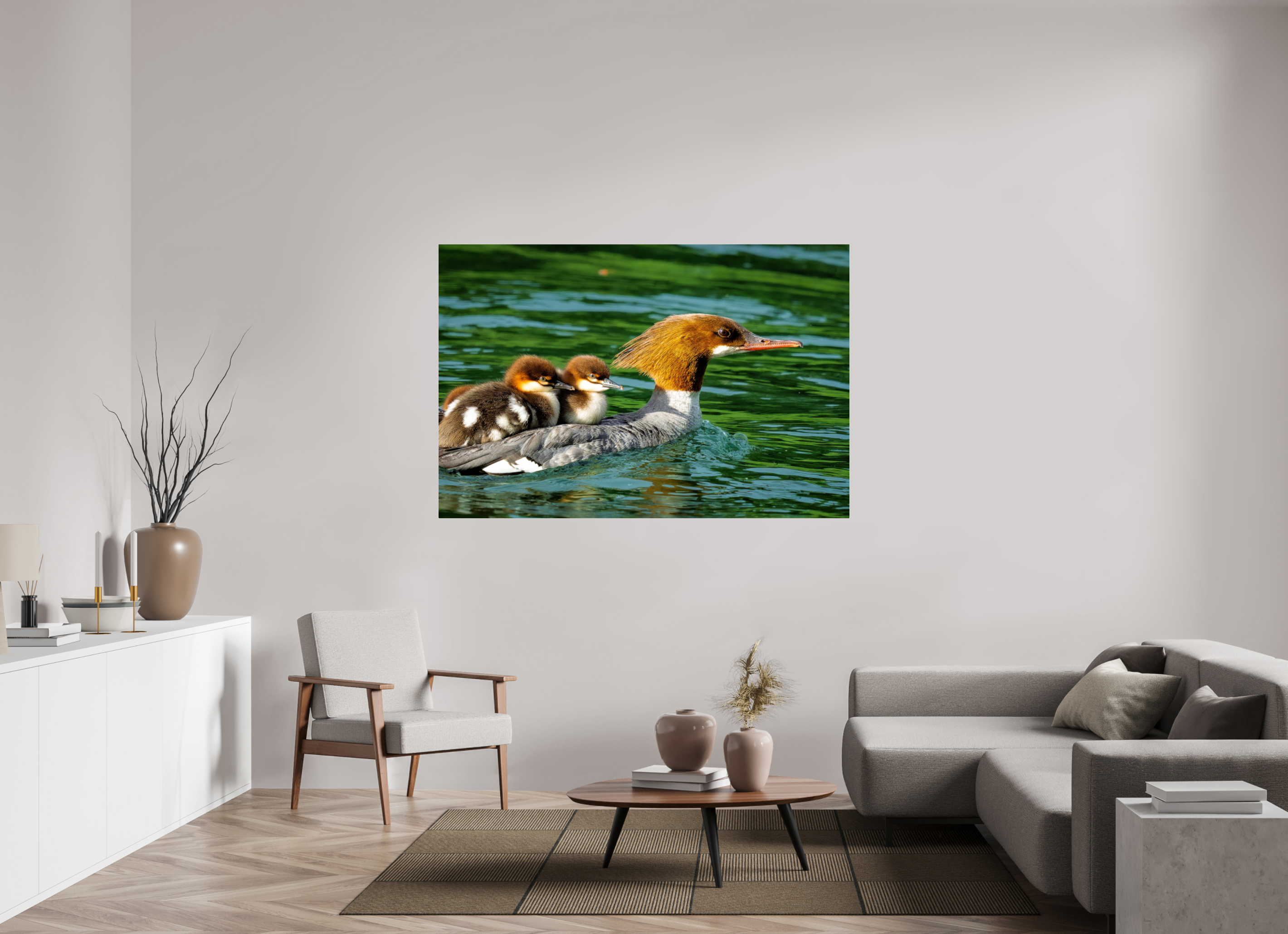 66 x 44″, Acrylic Glass Rounded Common Merganser Hen With Ducklings on Her Back