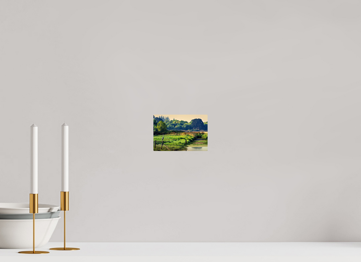 6 x 4″, ChromeLuxe HD Metal Print Rounded Conrners Great Blue Heron Watching Over the Wetland