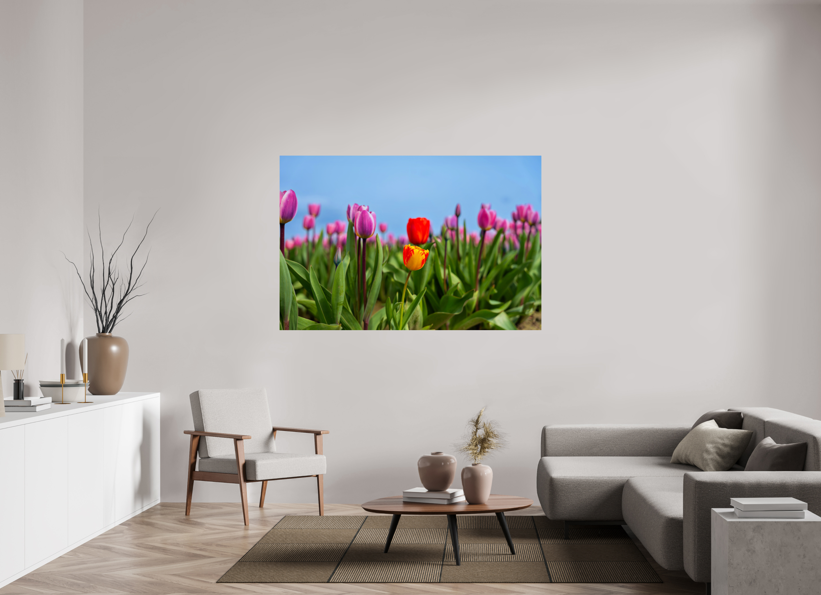 66 x 44″, ChromeLuxe HD Metal Print Rounded Conrners Red and Yellow Tulips Among a Purple Field