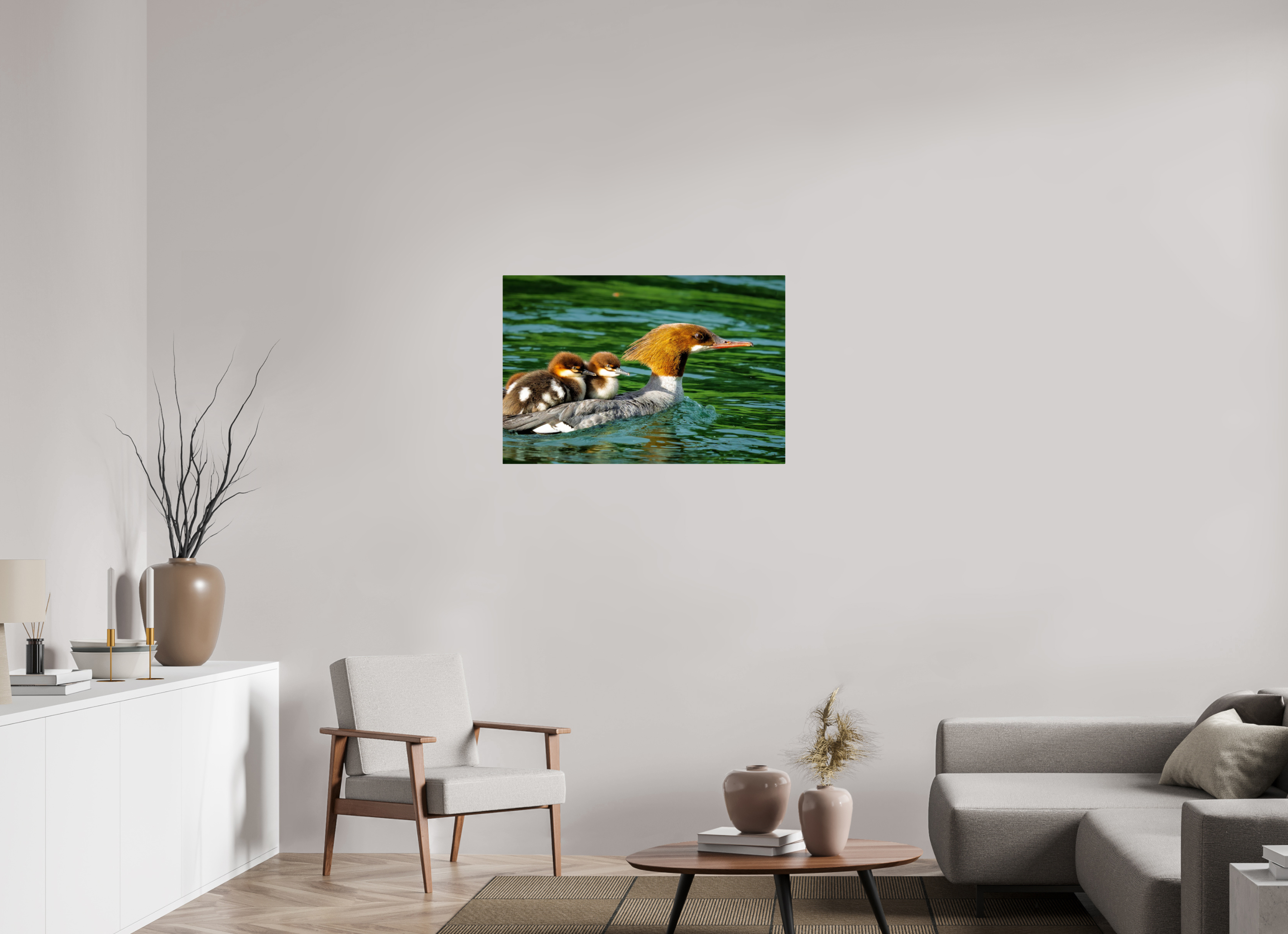 36 x 24″, ChromeLuxe HD Metal Print Acrylic Print - Common Merganser Hen With Ducklings on Her Back