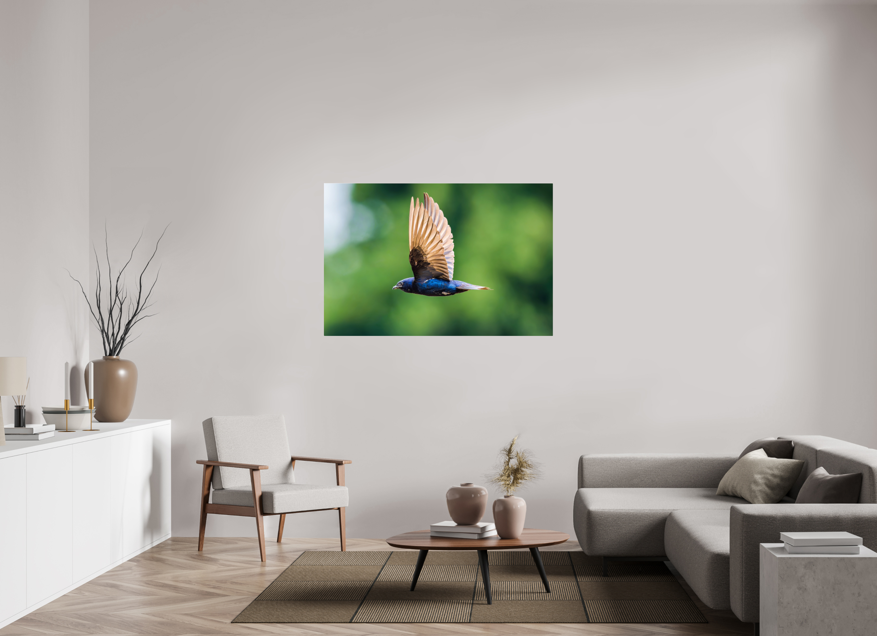 54 x 36″, Acrylic Glass Rounded Corners Purple Martin in Flight