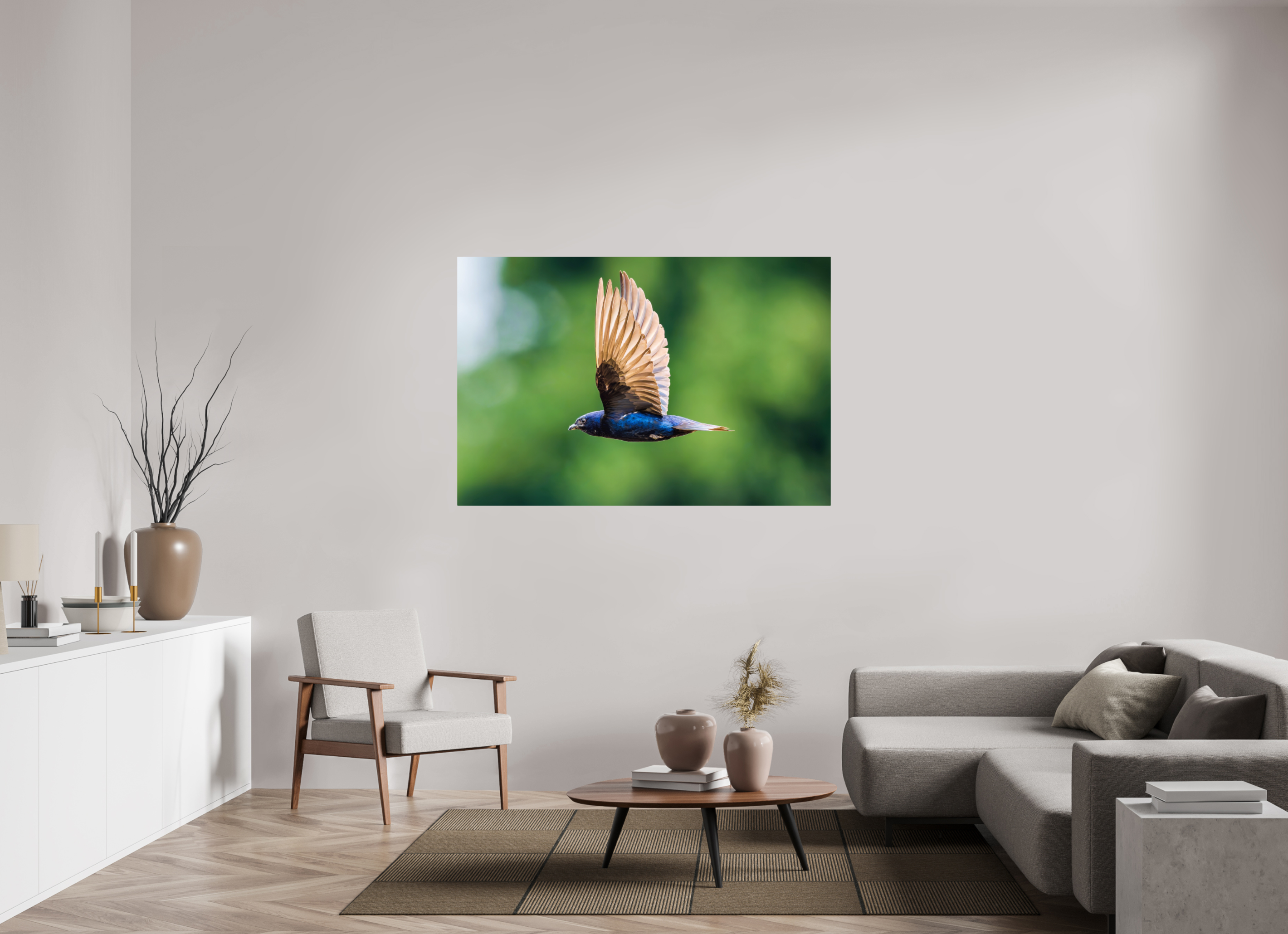 60 x 40″, ChromeLuxe HD Metal Print Rounded Conrners Purple Martin in Flight