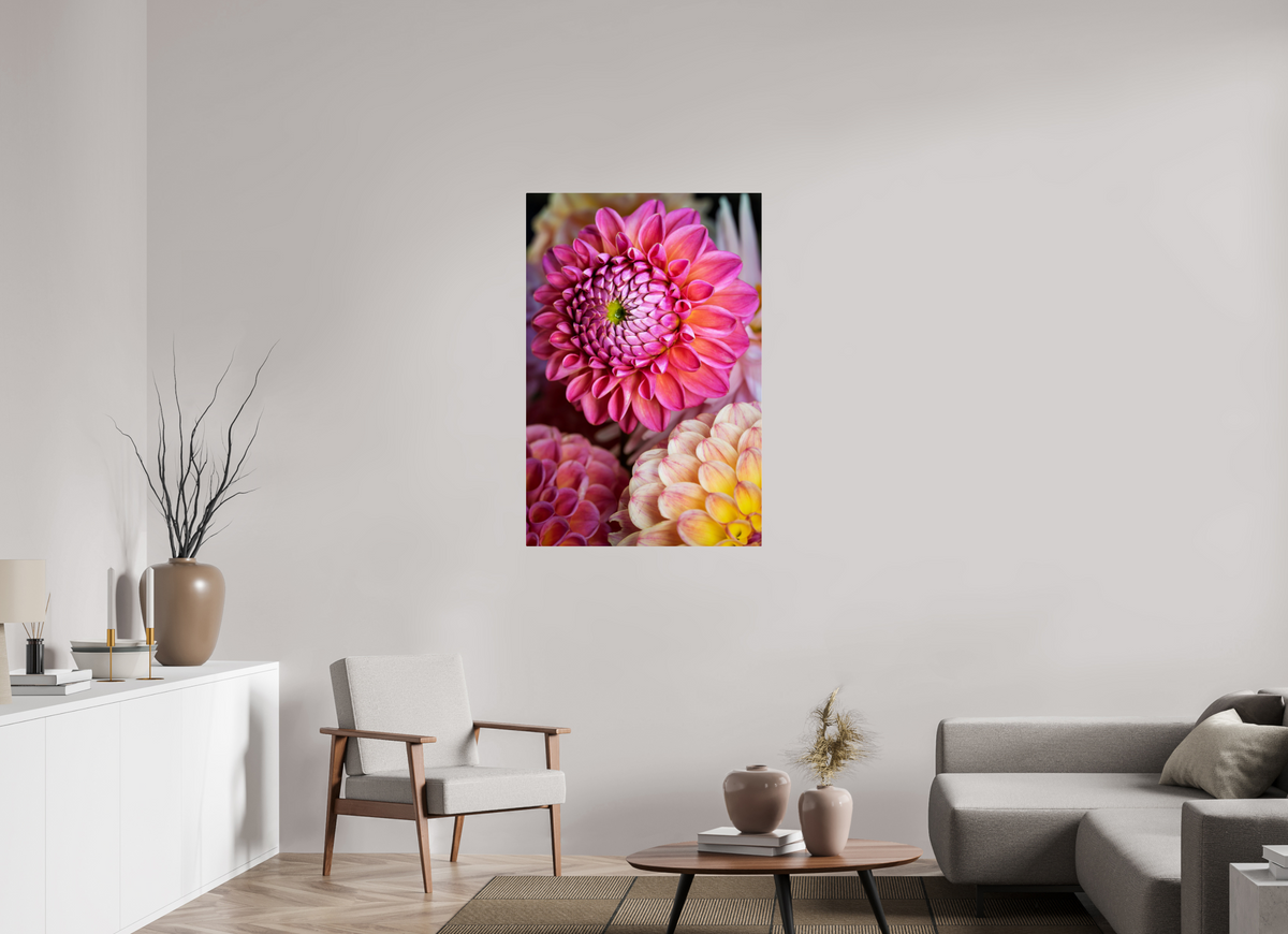 30 x 45″, Acrylic Glass Rounded Corners Pink Dahlia Unfurling