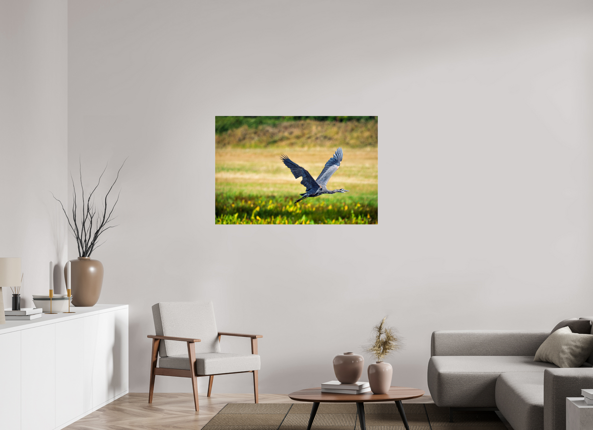 45 x 30″, Acrylic Glass Rounded Corners Great Blue Heron Rising Over the Wetland
