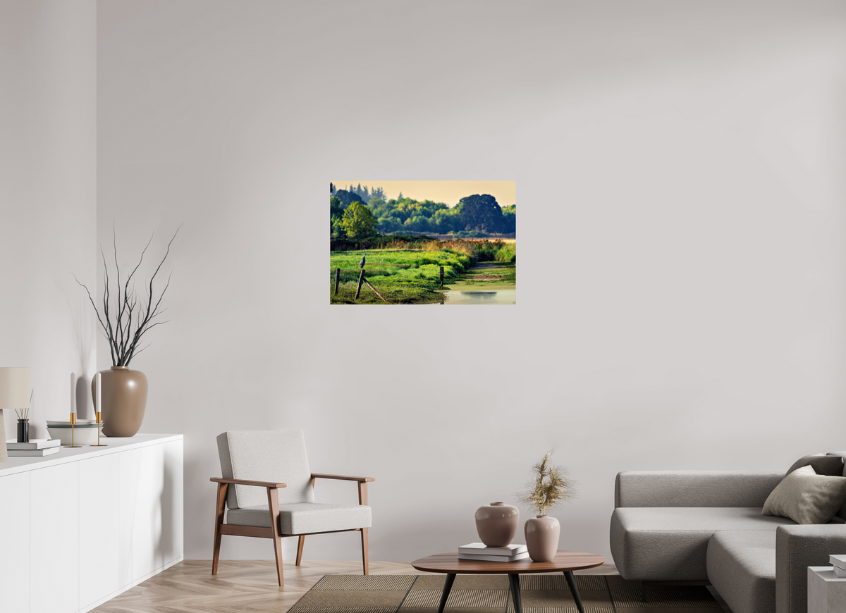 36 x 24″, ChromeLuxe HD Metal Print Rounded Conrners Great Blue Heron Watching Over the Wetland