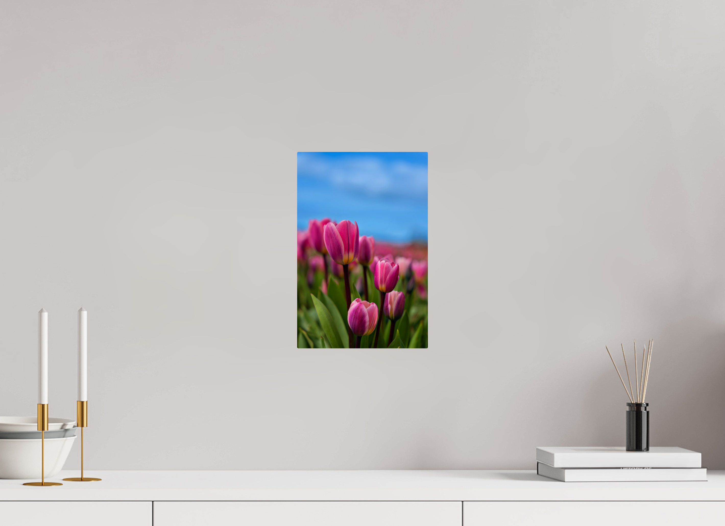 8 x 12″, ChromeLuxe HD Metal Print Rounded Conrners Pink Tulips Against an Evening Sky