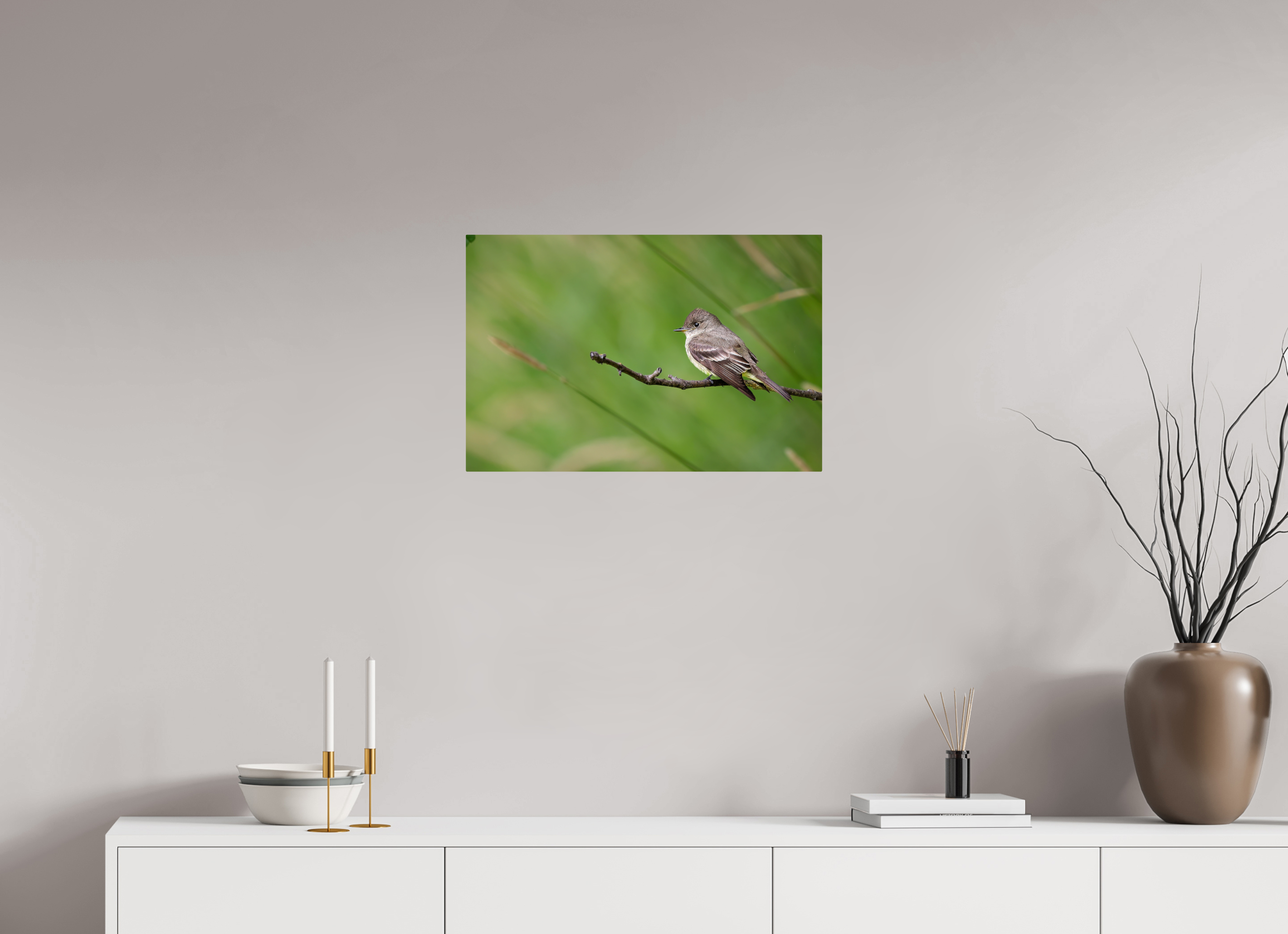24 x 16″, ChromeLuxe HD Metal Print Rounded Conrners Western Wood-Pewee on a Bare Twig