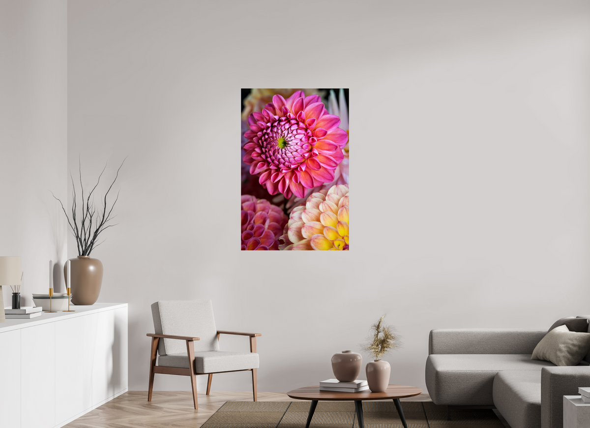 30 x 45″, ChromeLuxe HD Metal Print Rounded Conrners Pink Dahlia Unfurling
