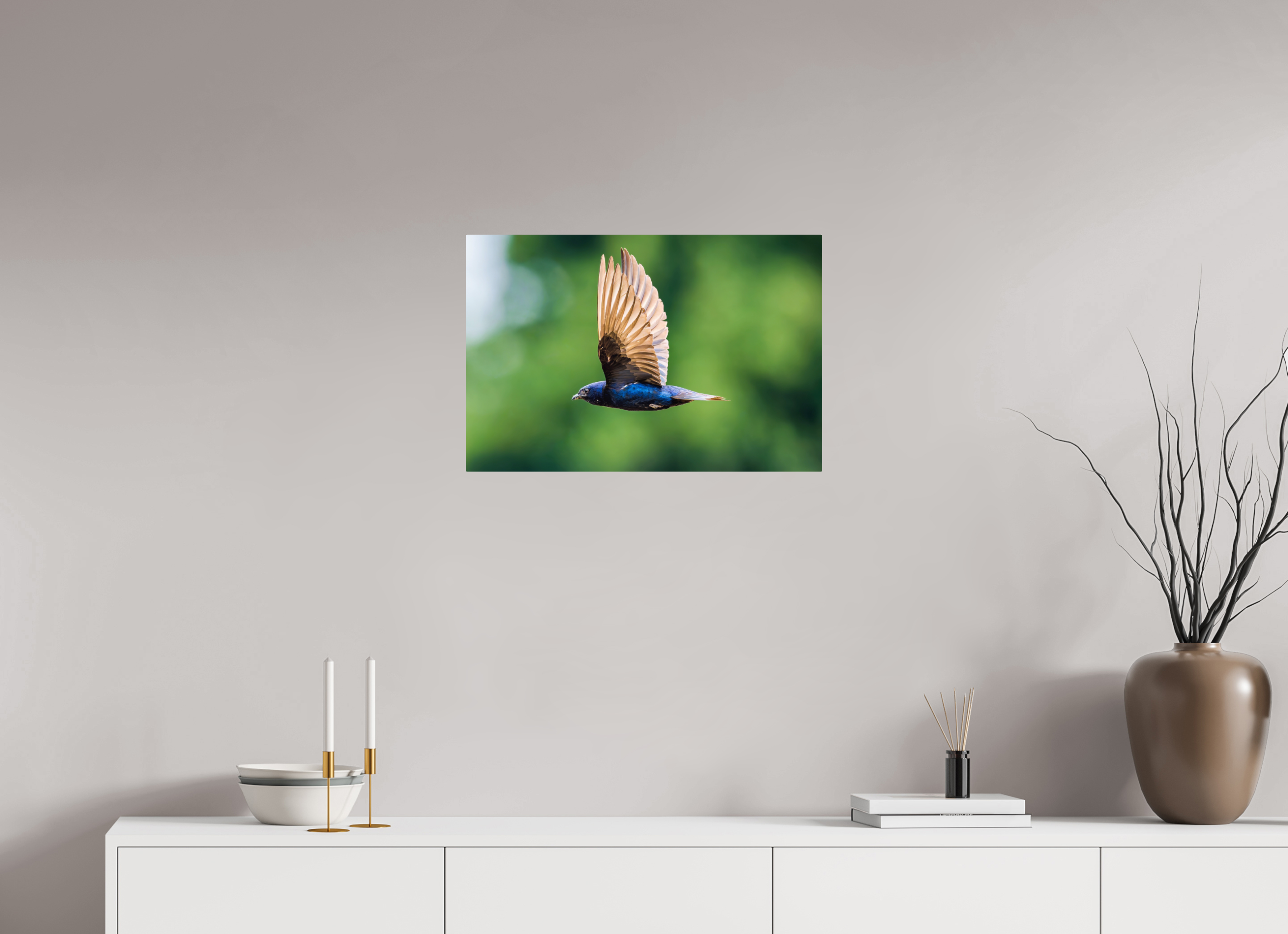 24 x 16″, ChromeLuxe HD Metal Print Rounded Conrners Purple Martin in Flight